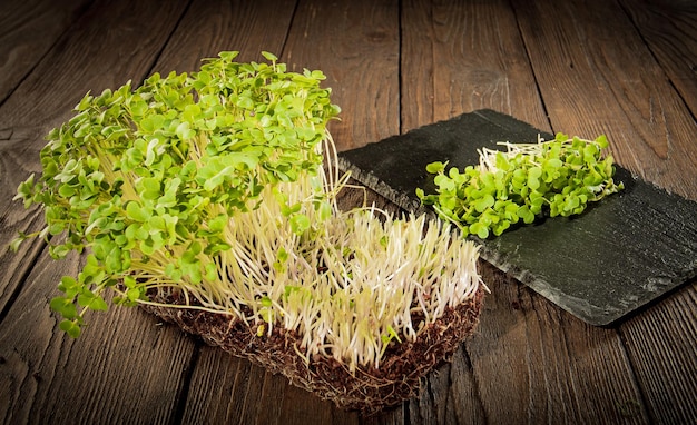 Cultivo de microgreens em casa Bloco de brotos de mostarda e verduras cortadas em uma placa de pedra Estilo rústico