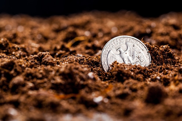 Cultivo de monedas de euro. Pequeña profundidad de campo.