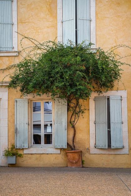 El cultivo de plantas contra la construcción