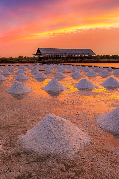 El cultivo de sal al atardecer Naklua en las provincias costeras de Phetchaburi del paisaje de Tailandia