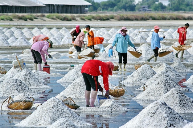 Cultivo de sal, una industria sostenible en Tailandia