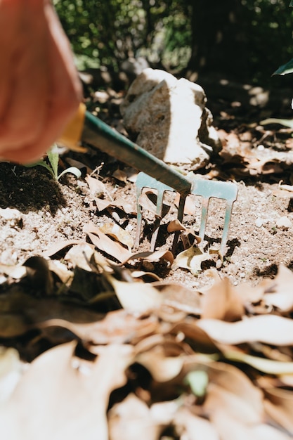 Cultivo de semillas de hortalizas a mano en el suelo de siembra en la jardinería metáfora del jardín, concepto de agricultura.