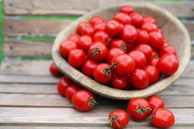 Cultivo de tomate fresco en un recipiente de madera sobre un fondo