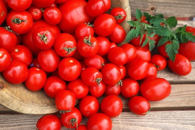 Cultivo de tomate fresco en un recipiente de madera sobre un fondo