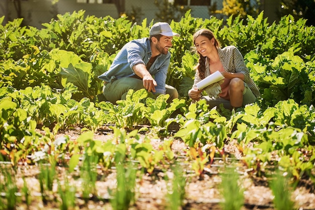 Los cultivos saludables son motivo de entusiasmo Foto de dos jóvenes granjeros felices trabajando juntos en los campos de su granja