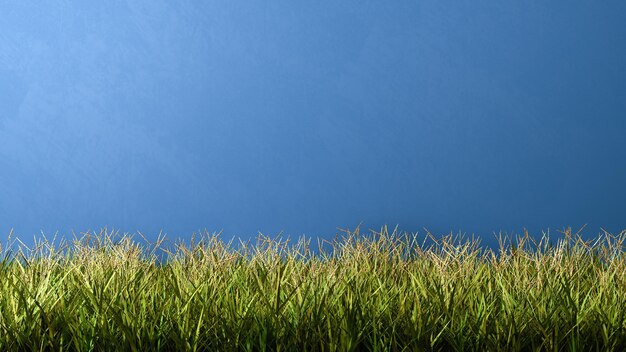 Foto culturas crescendo no campo contra o céu azul claro