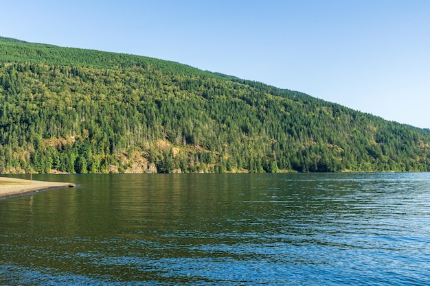 Cultus-See gegen den schönen großen Berg, der mit Nadelwald-Sommerlandschaft bedeckt ist