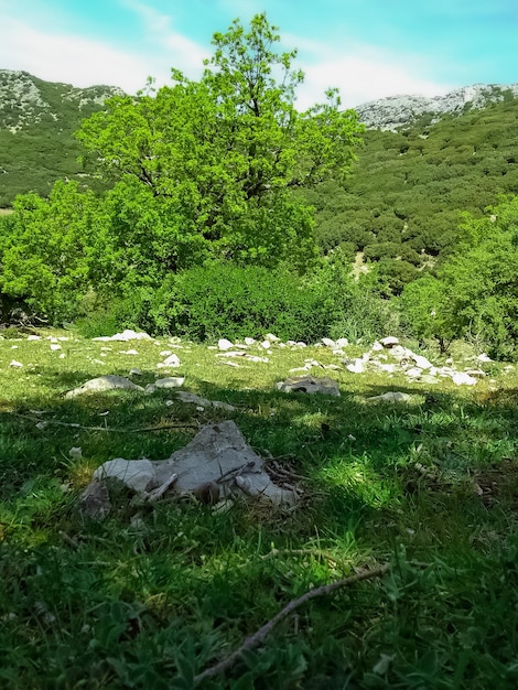 Foto cumbre de la montaña kelti en chefchaouen