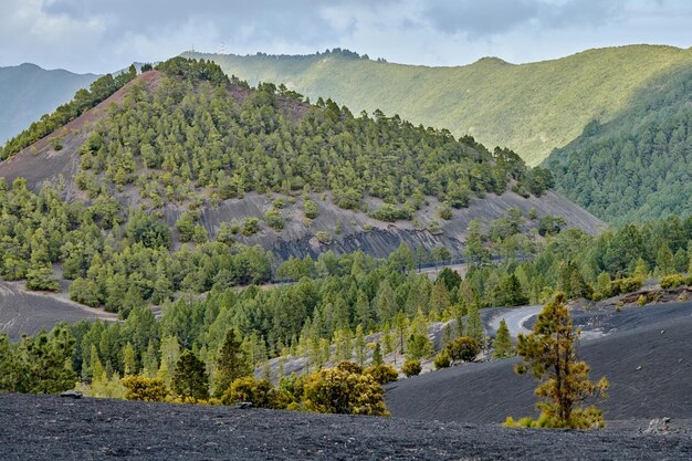 La Cumbre Nueva en La Palma Precioso paisaje de lava en la Cumbre Nueva en La Palma