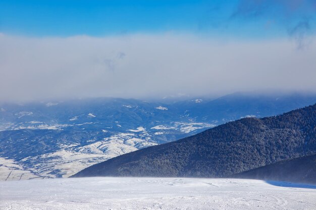 cumbres nevadas con bosques de coníferas y nubes en el cielo azul