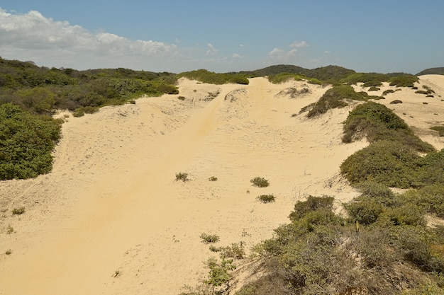 Cumbuco-Dünen in Caucaia in der Nähe von Fortaleza Ceara Brasilien