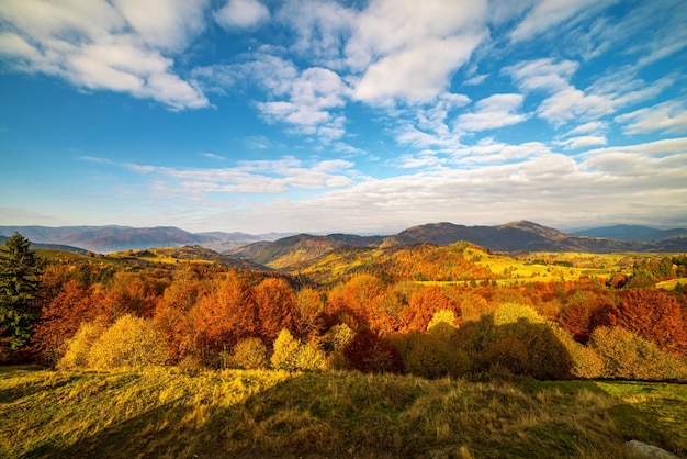 Cume da montanha coberto com florestas de terracota e árvores amareladas vívidas sob céu nublado cinza na visão panorâmica do dia sombrio do outono