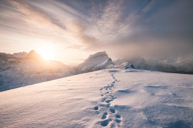 Cume da montanha de neve com pegada na nevasca