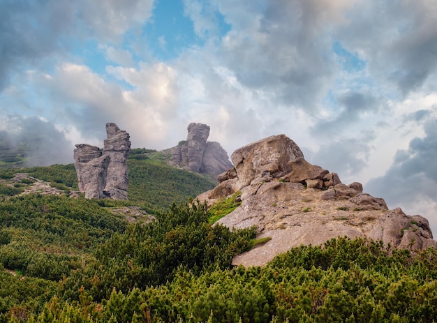 Cume da montanha de verão com grandes rochas rochosas Vento com nuvens baixas e neblina Cárpatos Chornohora Vuhatyj Kaminj Ucrânia