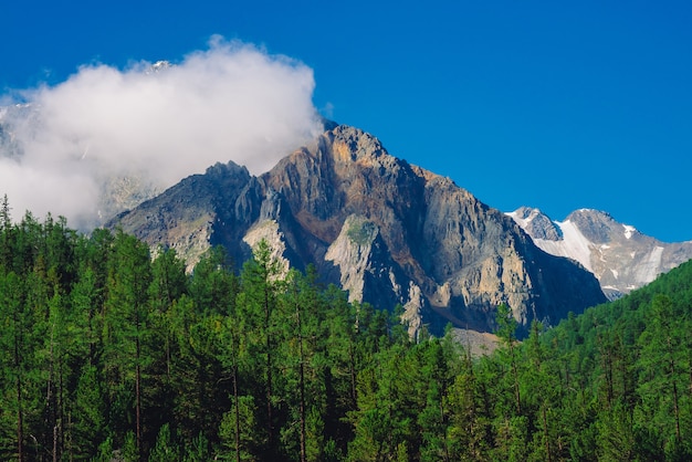 Cume rochoso com neve atrás de uma floresta verde e céu azul