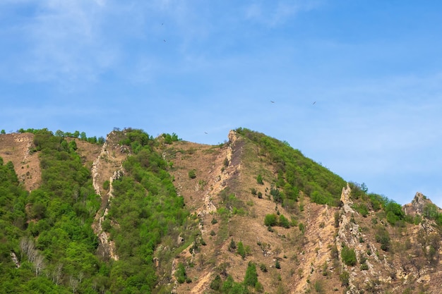 Cume rochoso irregular coberto com floresta esparsa contra um céu azul. paisagem atmosférica minimalista com parede de montanha rochosa com topo pontiagudo na luz ensolarada. encostas de montanha de pedra solta.