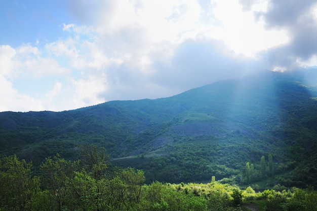 Cumes de montanha da floresta, séries de paisagens, Crimeia, Ucrânia.