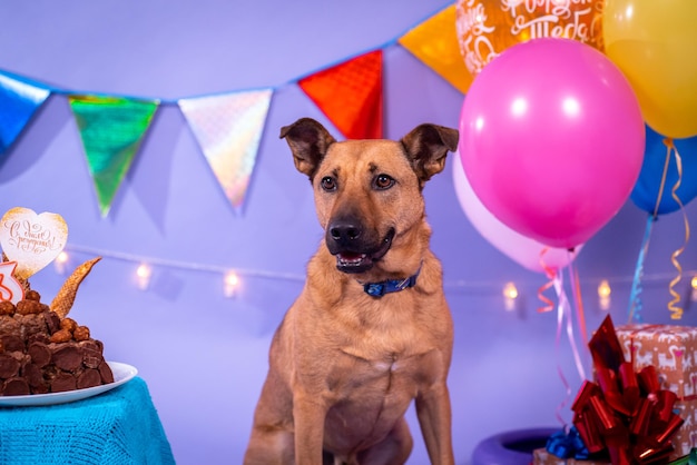 Cumpleaños de perro, globos, banderas, pastel. Ambiente festivo.