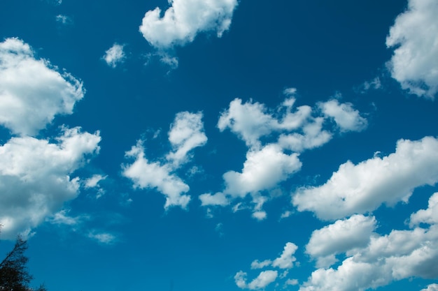 Cúmulos blancos en un cielo azul Fondos con un patrón de nubes de haz alto Clima estacionalidad ecología cielo despejado Paz