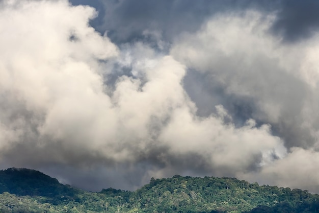 Cúmulos sobre bosques tropicales.