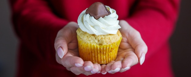 Cupcake com creme de baunilha e doces Banner Concept para aniversário de celebração de padaria de sobremesas alimentares