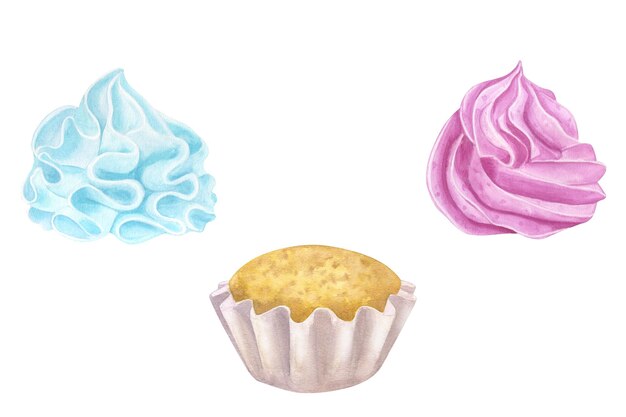 Cupcake muffin rosa azul crema Género revela fiesta baby shower Dulces clipart Ilustración acuarela dibujada a mano aislada sobre fondo blanco Para cafetería menú pastelería