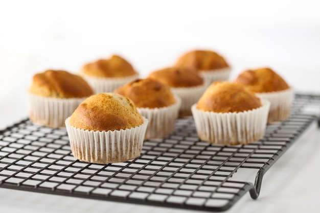 Cupcakes auf dem Kühlregal