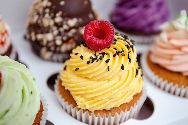 Cupcakes coloridos com cobertura de creme e frutas vermelhas Cupcakes de baunilha, chocolate, mirtilo e framboesa Caixa de festa com muffins de frutas e bagas Cupcakes variados