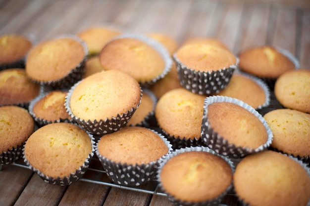 Cupcakes em prateleira de refrigeração