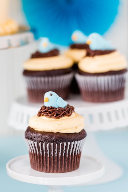 Cupcakes gourmet de primavera con decoración de pájaro azul.