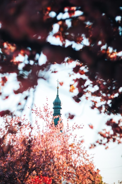 cúpula da igreja através de fundo de flores