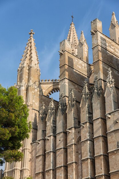 Cúpula de Palma de Maiorca Espanha