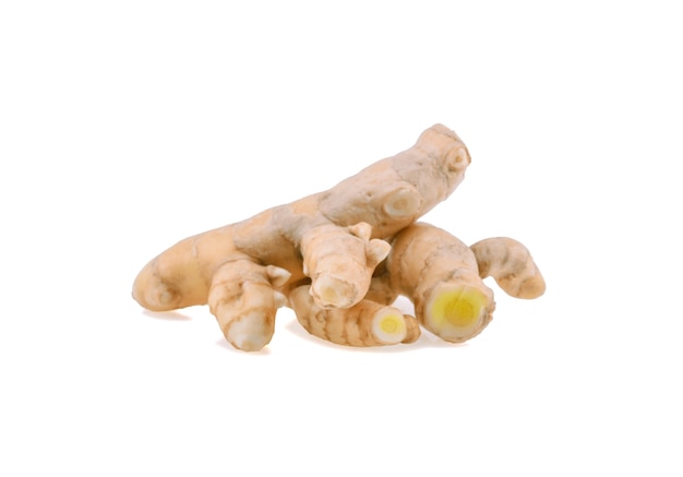 Cúrcuma blanca aislada en blanco