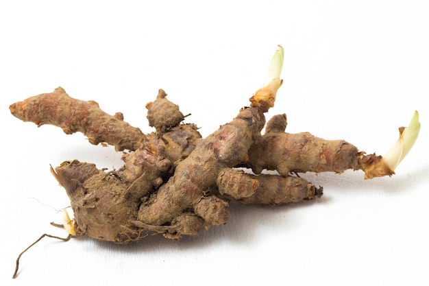 Cúrcuma cruda Curcuma longa Linn o curcumina