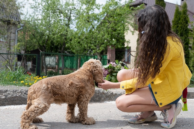 Curly-haired Cocker Spaniel, der an einem sonnigen Tag geht.