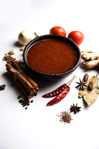 Curry o masala picante básico del norte de la India para verduras o receta de pollo o cordero que se muestra con los ingredientes, servida en un tazón. enfoque selectivo