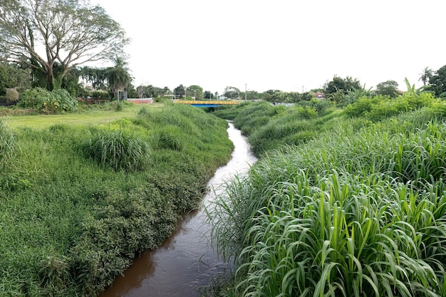 Curso de agua de Corrego do cedro