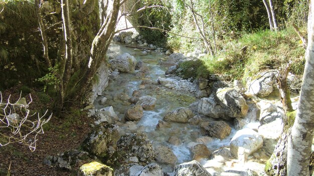 Curso de água nas dolomitas com água e rochas