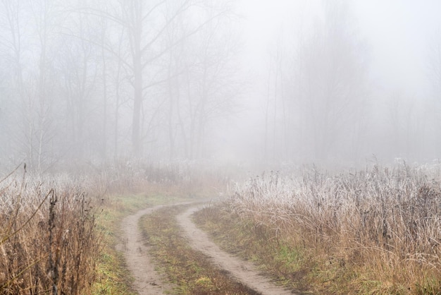 Curva de camino de tierra a través del campo con hierba seca blanca con siluetas heladas de árboles visibles en la niebla