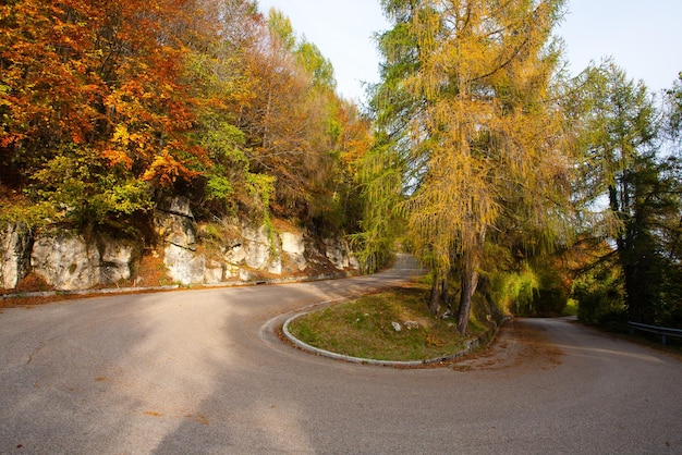 Foto curva cerrada con paisaje otoñal carretera asfaltada