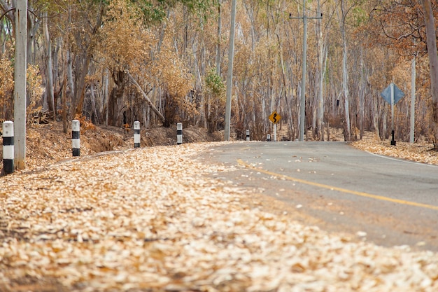 Curva da estrada.