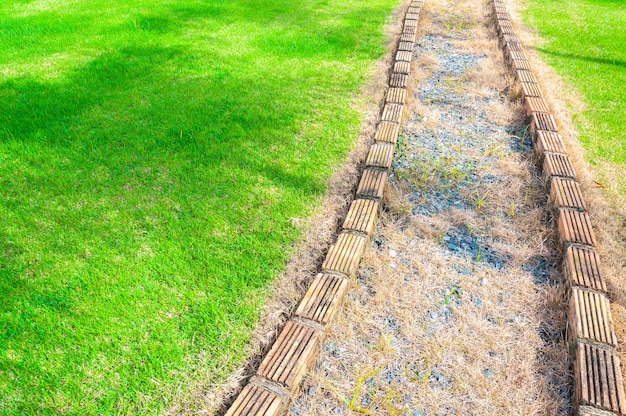 Curva de passagem na grama no jardimUma passagem de caminho do parque