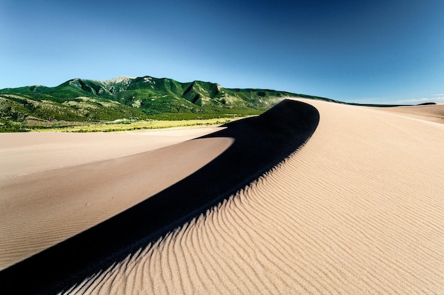 La curva de una duna en el desierto del Parque Nacional Great Sand Dunes