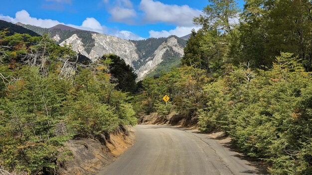 Curva na estrada de terra na floresta montanhosa