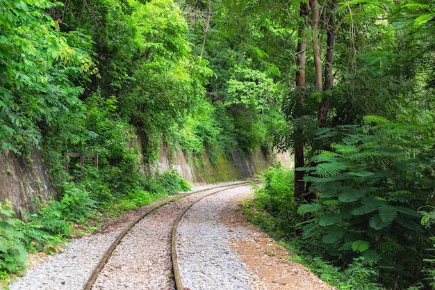 Curva de vía férrea en la verde selva tropical