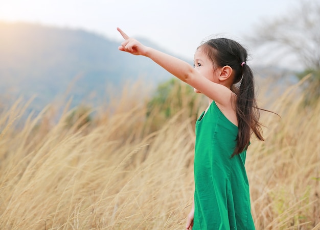 Cute, criança pequena, menina, apontar cima, em, verão, campo, ao ar livre