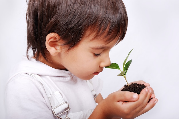 Cute, criança pequena, segurando, planta verde, em, mãos