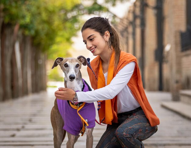 Foto cute greyhound animal de estimação vestido para uma caminhada com seu dono