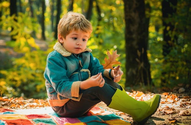 Cute Junge mit Herbstblättern auf Herbst Natur Hintergrund hallo Herbst bye Sommer