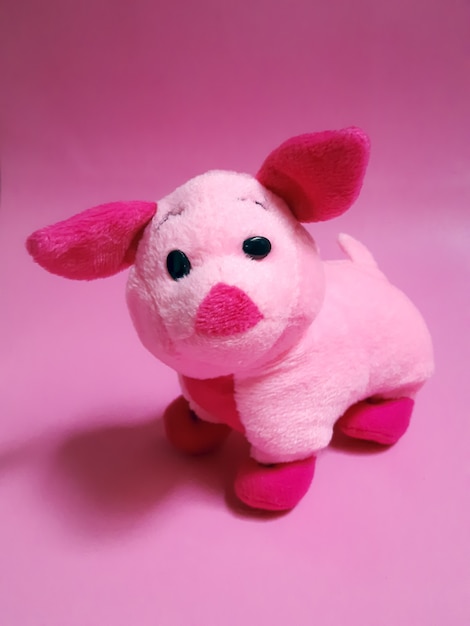 Foto cute little piggy aislado sobre fondo rosa